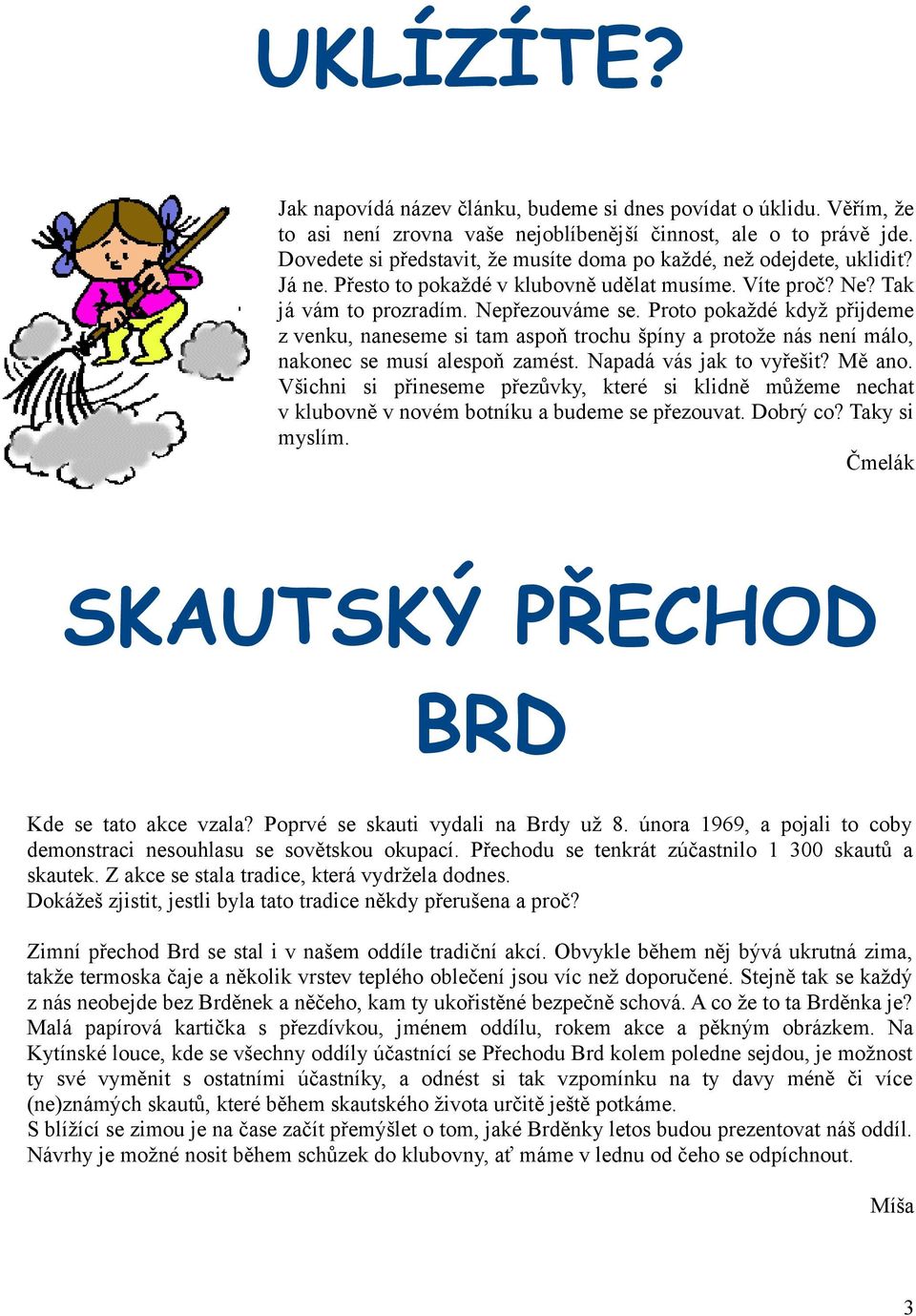 Proto pokaždé když přijdeme z venku, naneseme si tam aspoň trochu špíny a protože nás není málo, nakonec se musí alespoň zamést. Napadá vás jak to vyřešit? Mě ano.