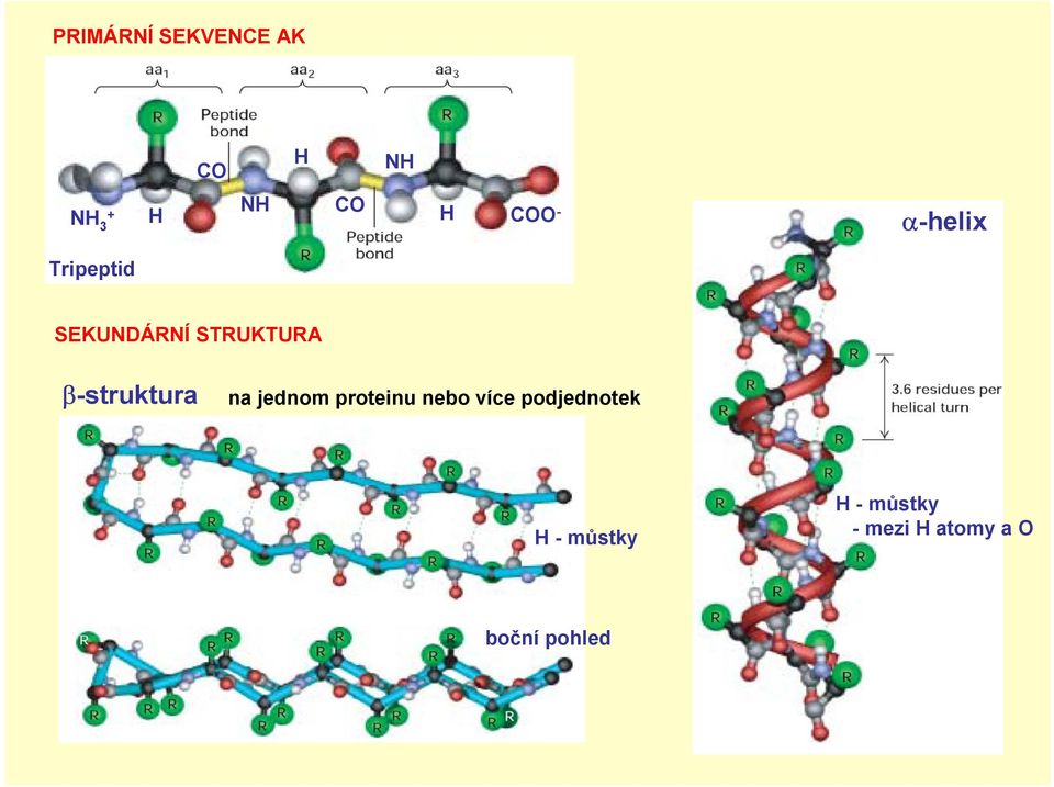 β-struktura na jednom proteinu nebo více