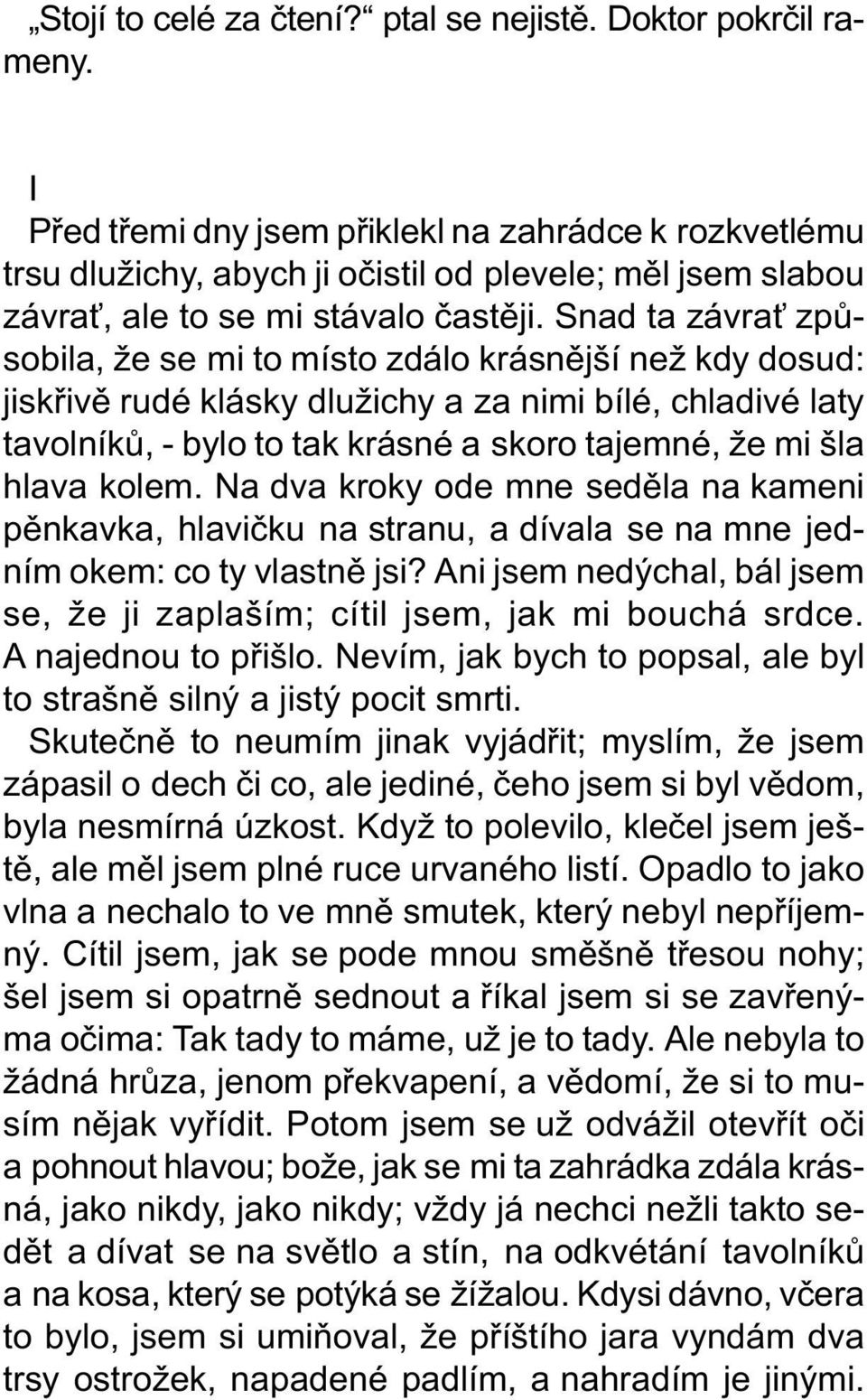 Snad ta závra zpùsobila, že se mi to místo zdálo krásnìjší než kdy dosud: jiskøivì rudé klásky dlužichy a za nimi bílé, chladivé laty tavolníkù, - bylo to tak krásné a skoro tajemné, že mi šla hlava