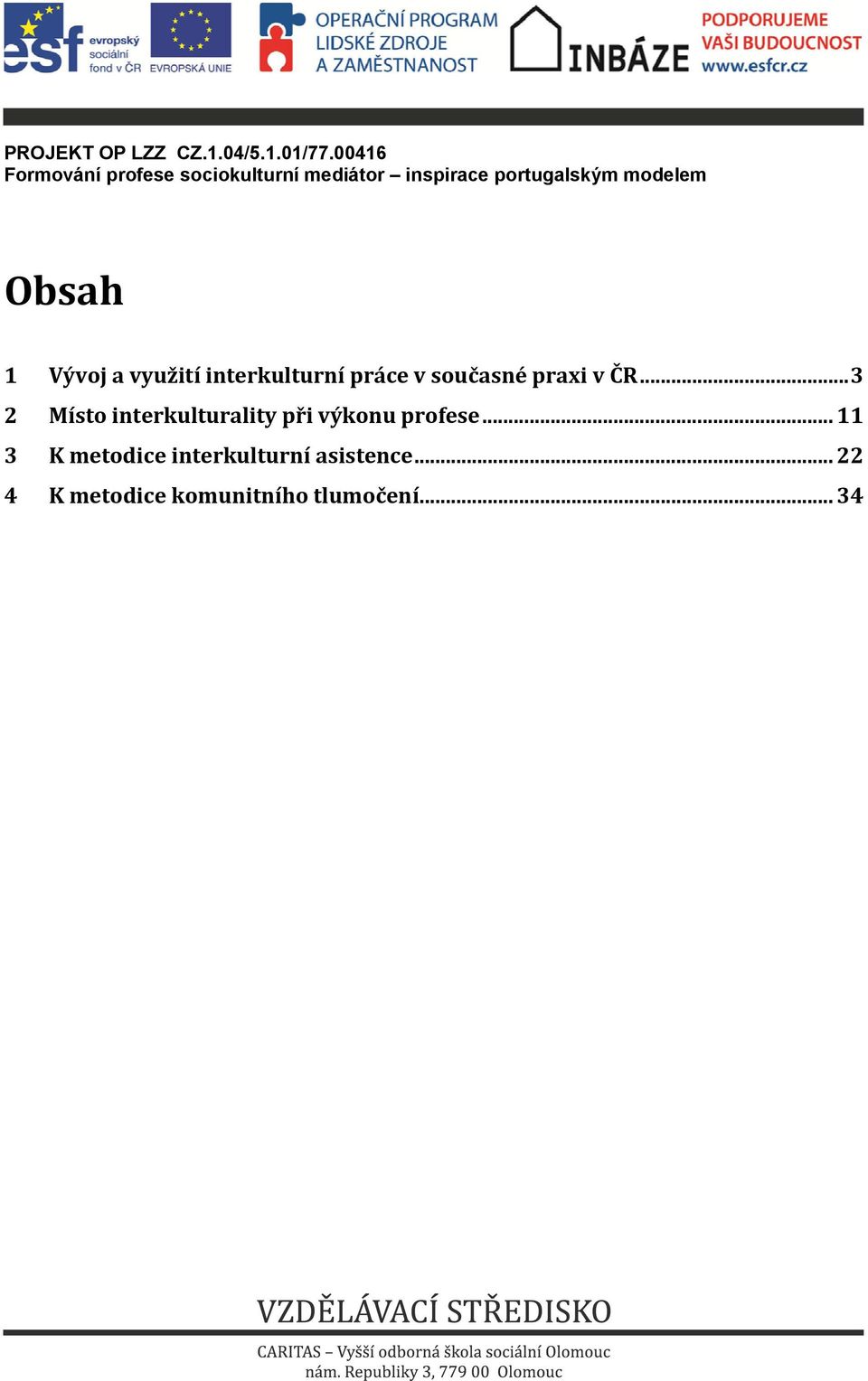 ..3 2 Místo interkulturality při výkonu profese.