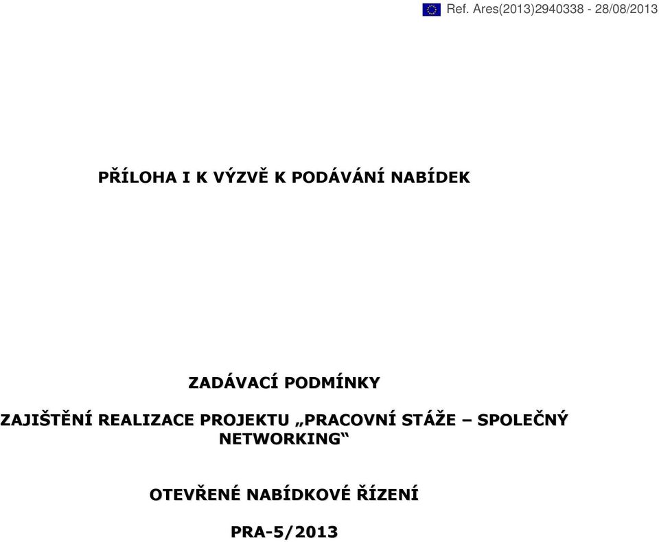 ZAJIŠTĚNÍ REALIZACE PROJEKTU PRACOVNÍ STÁŽE