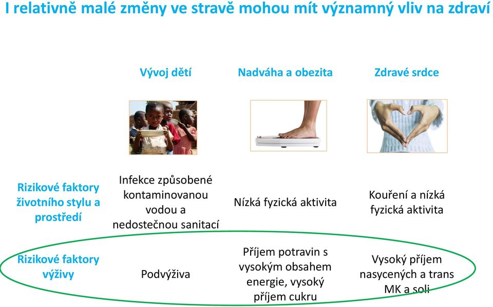 nedostečnou sanitací Nízká fyzická aktivita Kouření a nízká fyzická aktivita Rizikové faktory výživy