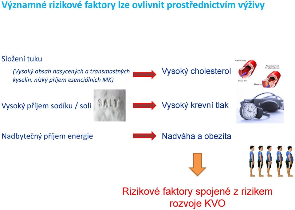 MK) Vysoký cholesterol Vysoký příjem sodíku / soli Vysoký krevní tlak