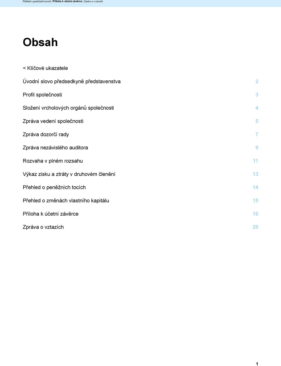nezávislého auditora 9 Rozvaha v plném rozsahu 11 Výkaz zisku a ztráty v druhovém členění 13