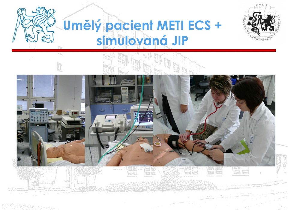 METI ECS