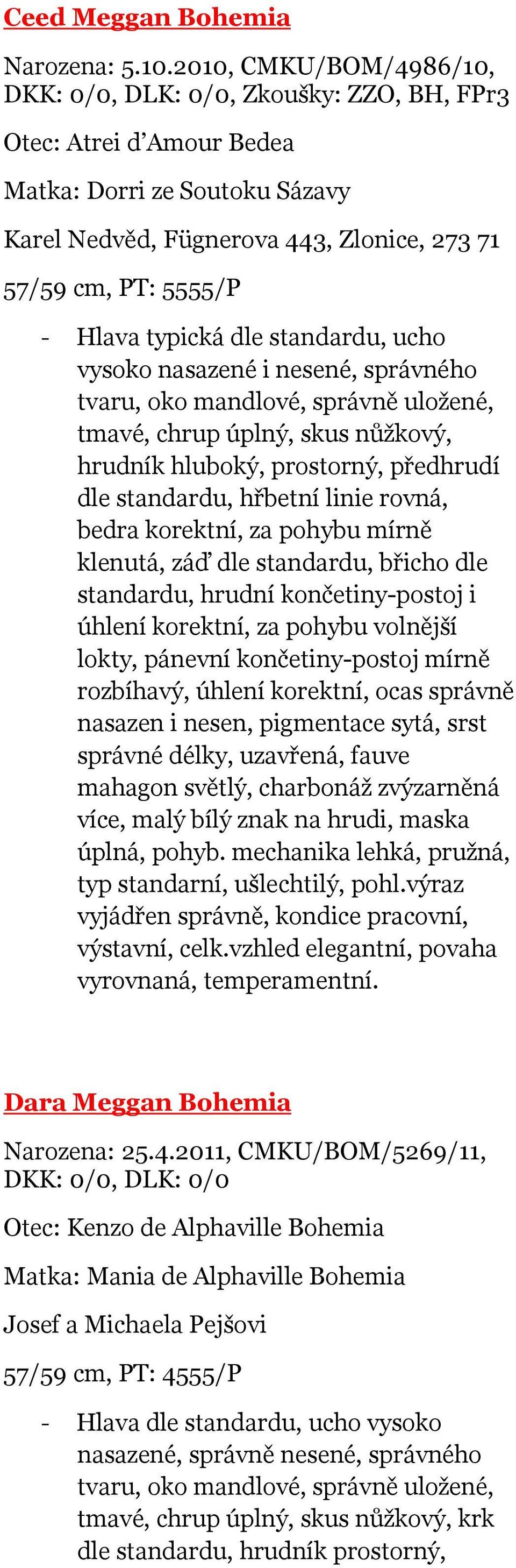 typická dle standardu, ucho vysoko nasazené i nesené, správného tvaru, oko mandlové, správně uložené, tmavé, chrup úplný, skus nůžkový, hrudník hluboký, prostorný, předhrudí dle standardu, hřbetní