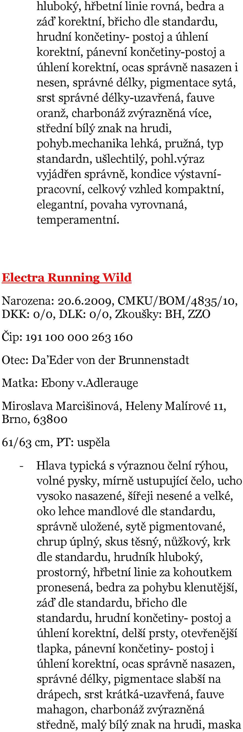 výraz vyjádřen správně, kondice výstavnípracovní, celkový vzhled kompaktní, elegantní, povaha vyrovnaná, temperamentní. Electra Running Wild Narozena: 20.6.