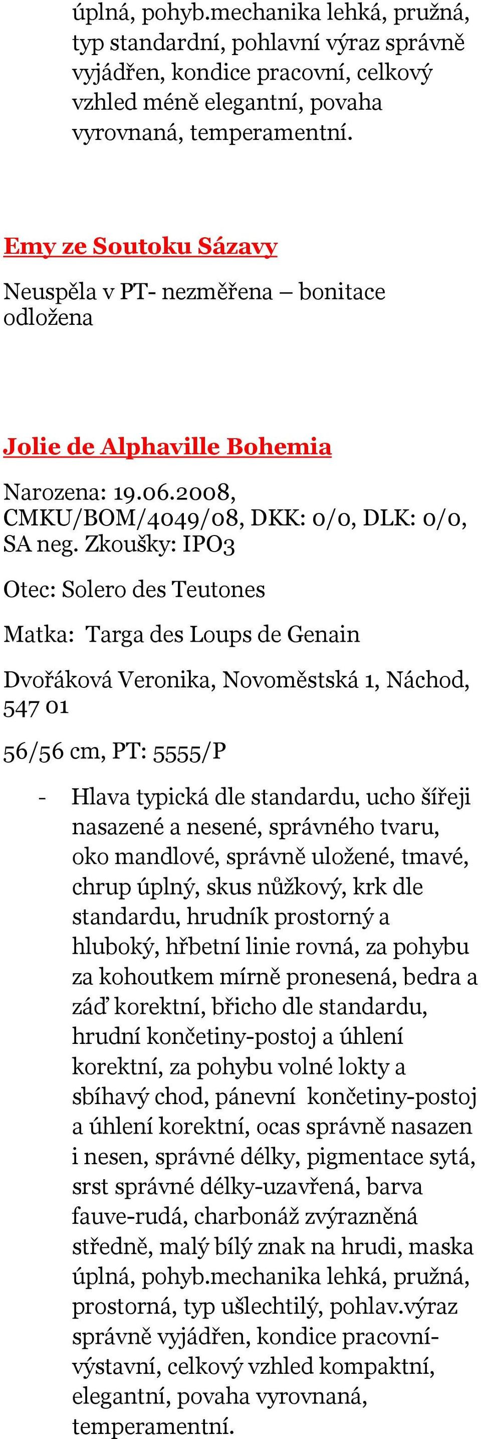 Zkoušky: IPO3 Otec: Solero des Teutones Matka: Targa des Loups de Genain Dvořáková Veronika, Novoměstská 1, Náchod, 547 01 56/56 cm, PT: 5555/P - Hlava typická dle standardu, ucho šířeji nasazené a