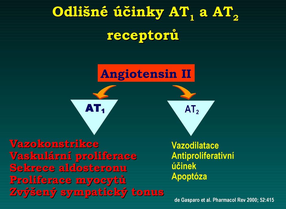 Proliferace myocytů Zvýšený sympatický tonus Vazodilatace