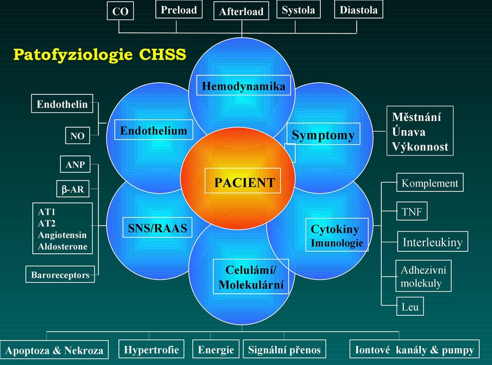 Aldosterone SNS/RAAS Cytokiny Imunologie TNF Interleukiny Baroreceptors Celulámí/ Molekulární