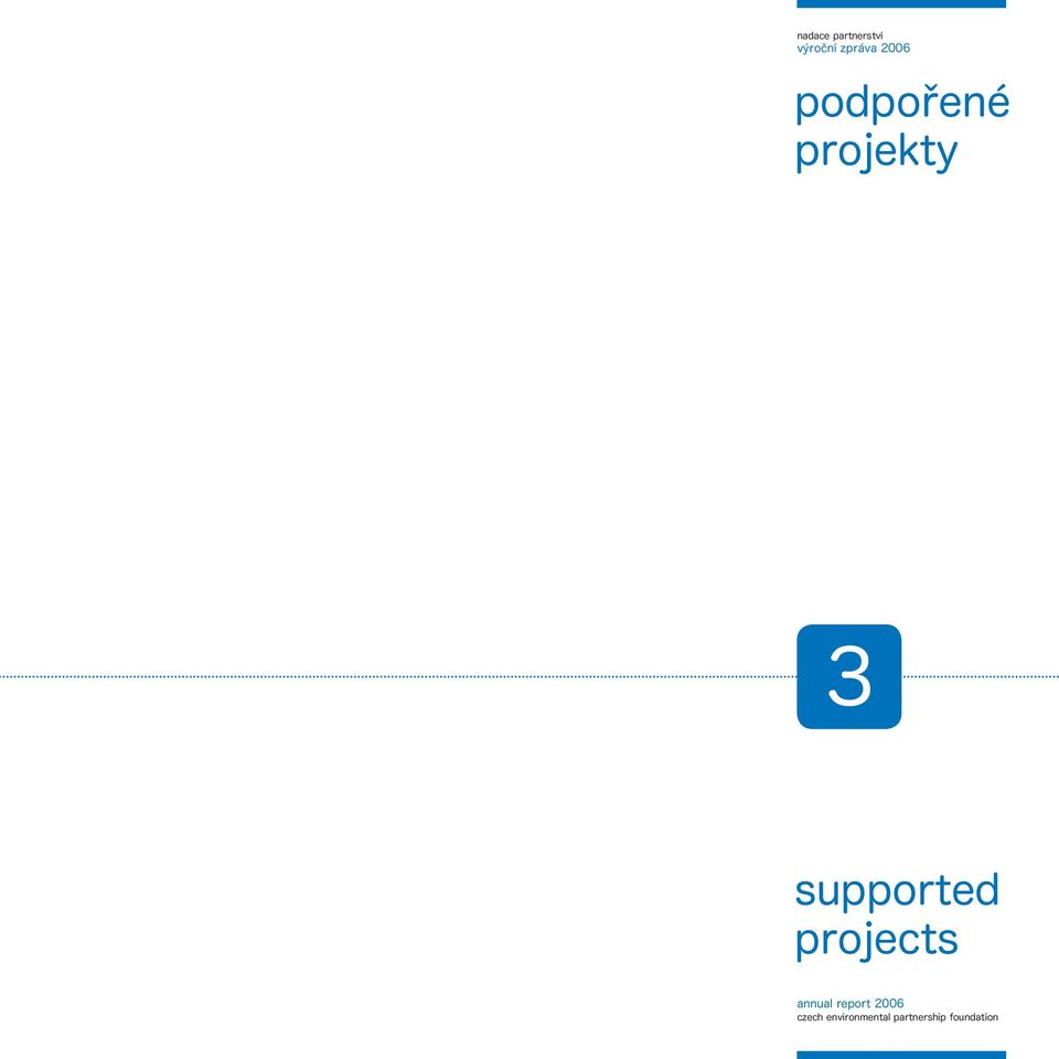 supported projects annual report