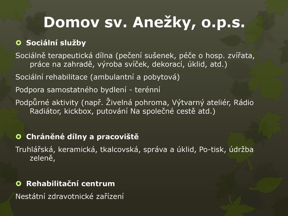 ) Sociální rehabilitace (ambulantní a pobytová) Podpora samostatného bydlení - terénní Podpůrné aktivity (např.