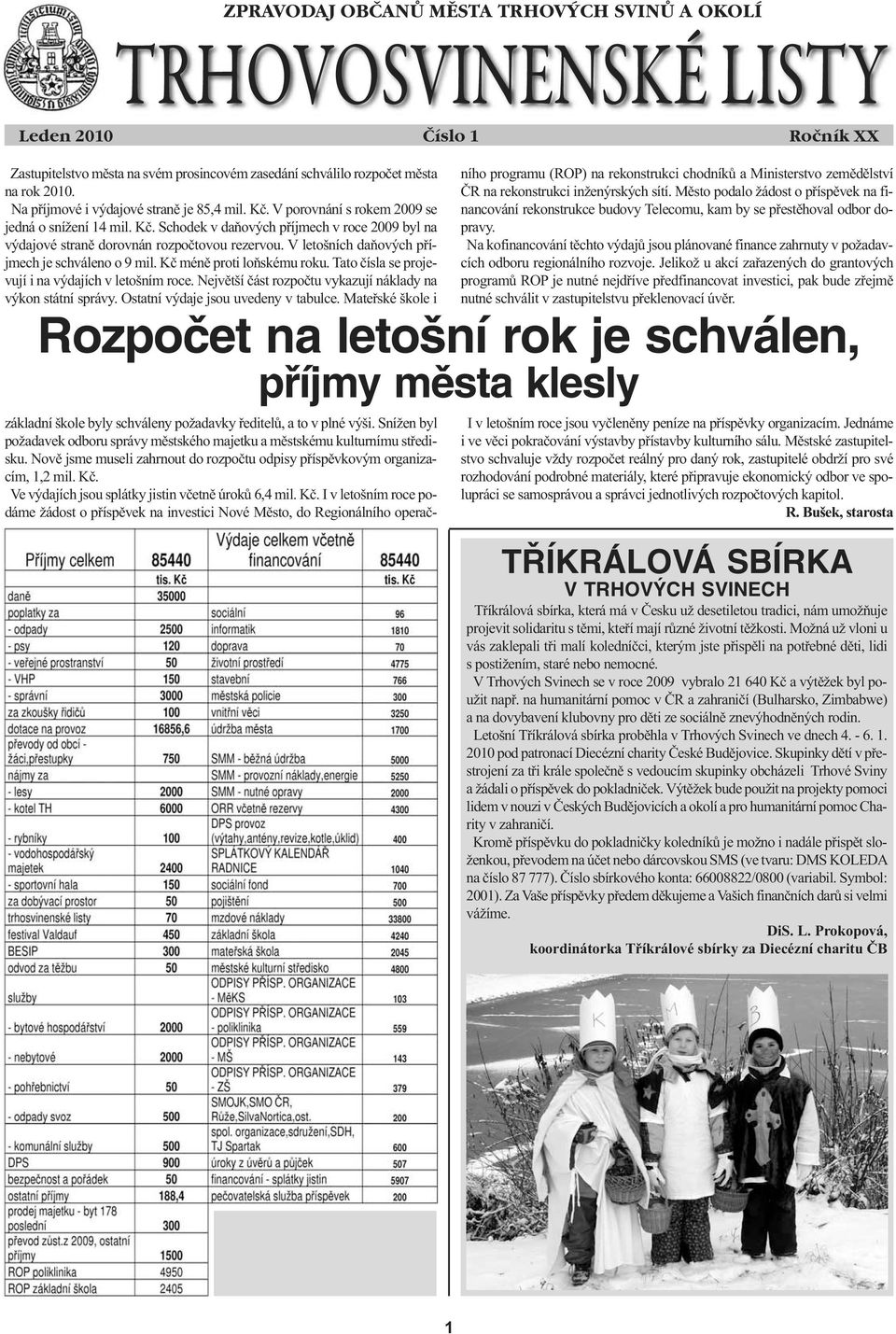 V letošních daňových příjmech je schváleno o 9 mil. Kč méně proti loňskému roku. Tato čísla se projevují i na výdajích v letošním roce. Největší část rozpočtu vykazují náklady na výkon státní správy.