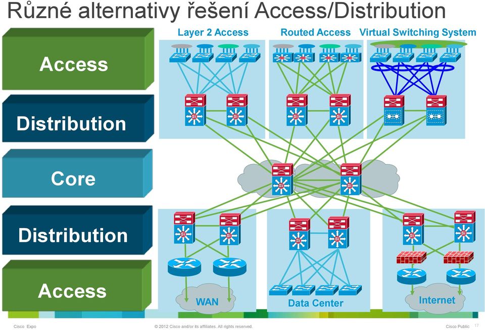 Routed Access Virtual Switching System