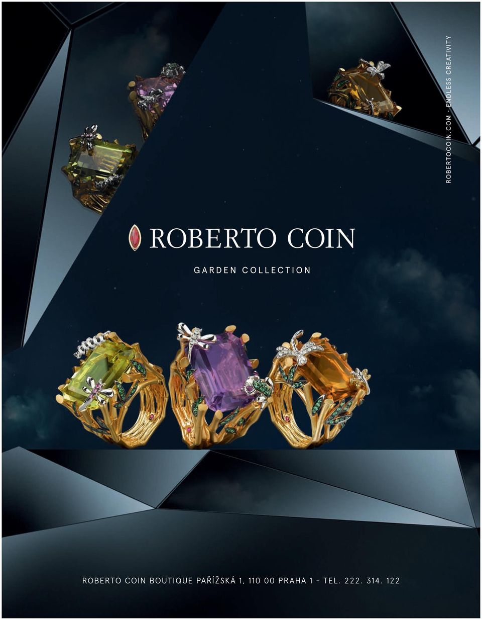 ROBERTOCOIN.