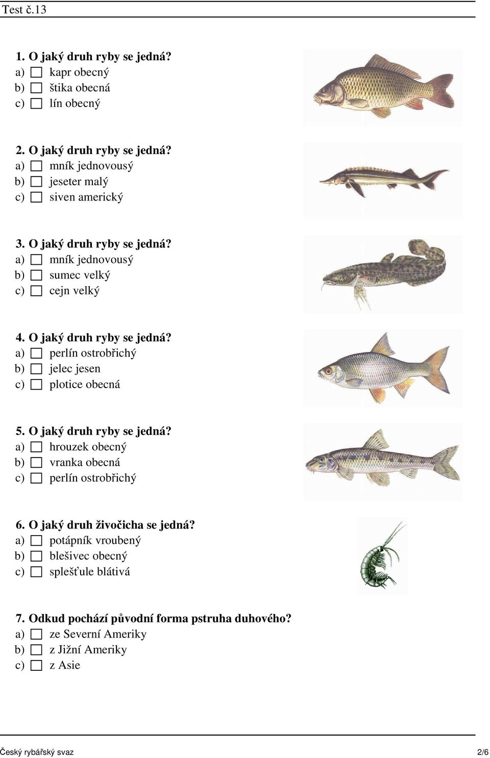 a) perlín ostrobřichý b) jelec jesen c) plotice obecná 5. O jaký druh ryby se jedná? a) hrouzek obecný b) vranka obecná c) perlín ostrobřichý 6.