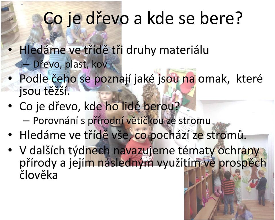 na omak, které jsou těžší. Co je dřevo, kde ho lidé berou?