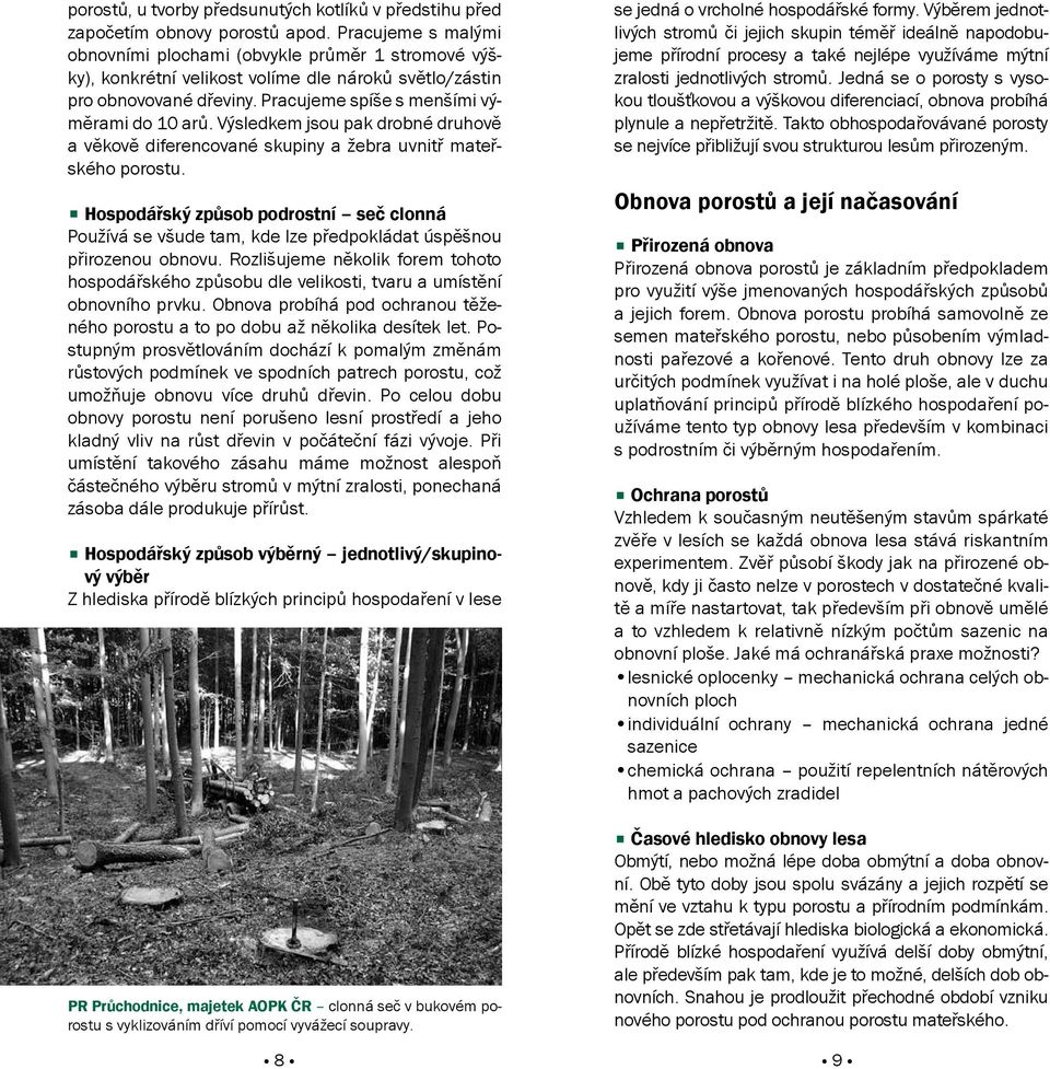 Výsledkem jsou pak drobné druhově a věkově diferencované skupiny a žebra uvnitř mateřského porostu.