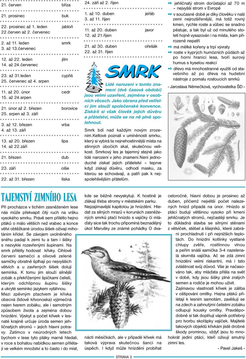 březen dub 23. září olše 22. až 31. březen líska Tajemství zimního lesa Při procházce v tichém zasněženém lese nás může překvapit čilý ruch na vršku vysokého smrku.