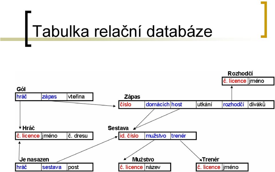 databáze