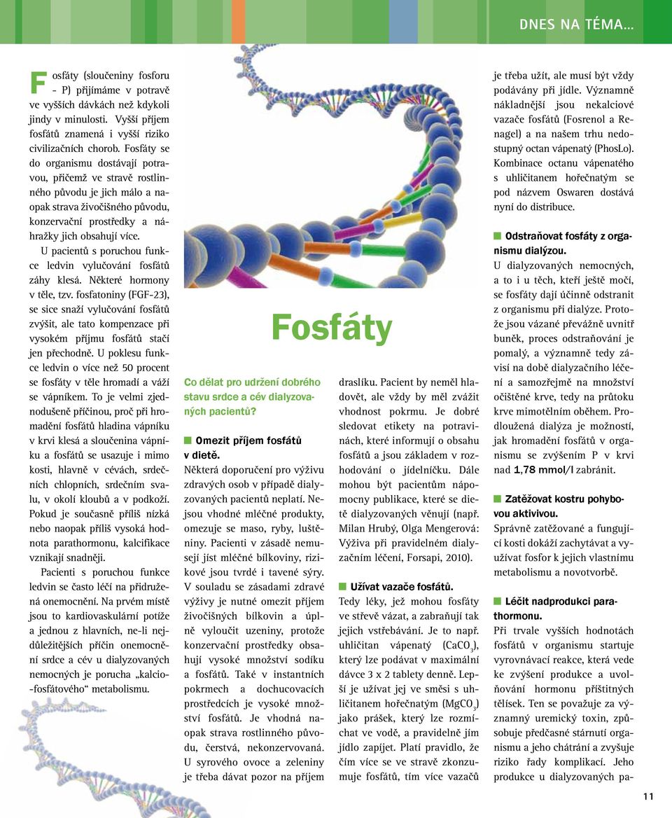 U pacientů s poruchou funkce ledvin vylučování fosfátů záhy klesá. Některé hormony v těle, tzv.