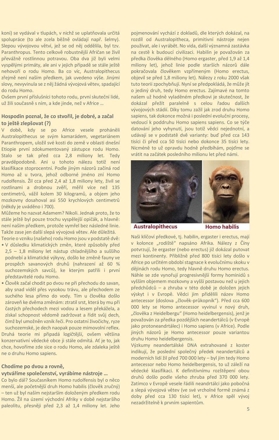 Ba co víc, Australopithecus zřejmě není naším předkem, jak uvedeno výše. Jinými slovy, nevyvinula se z něj žádná vývojová větev, spadající do rodu Homo.