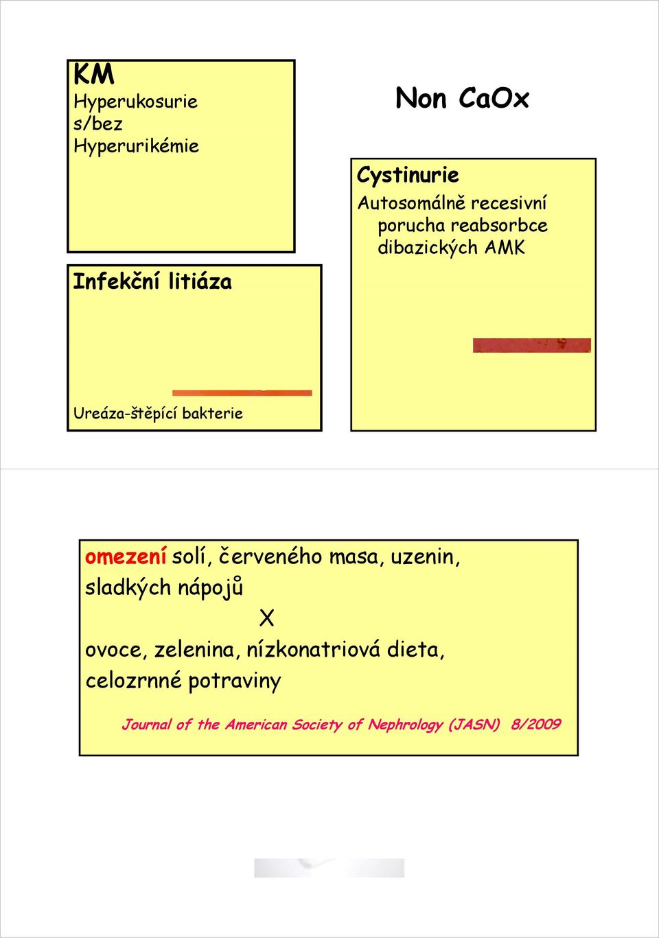 omezení solí, červeného masa, uzenin, sladkých nápojů X ovoce, zelenina,