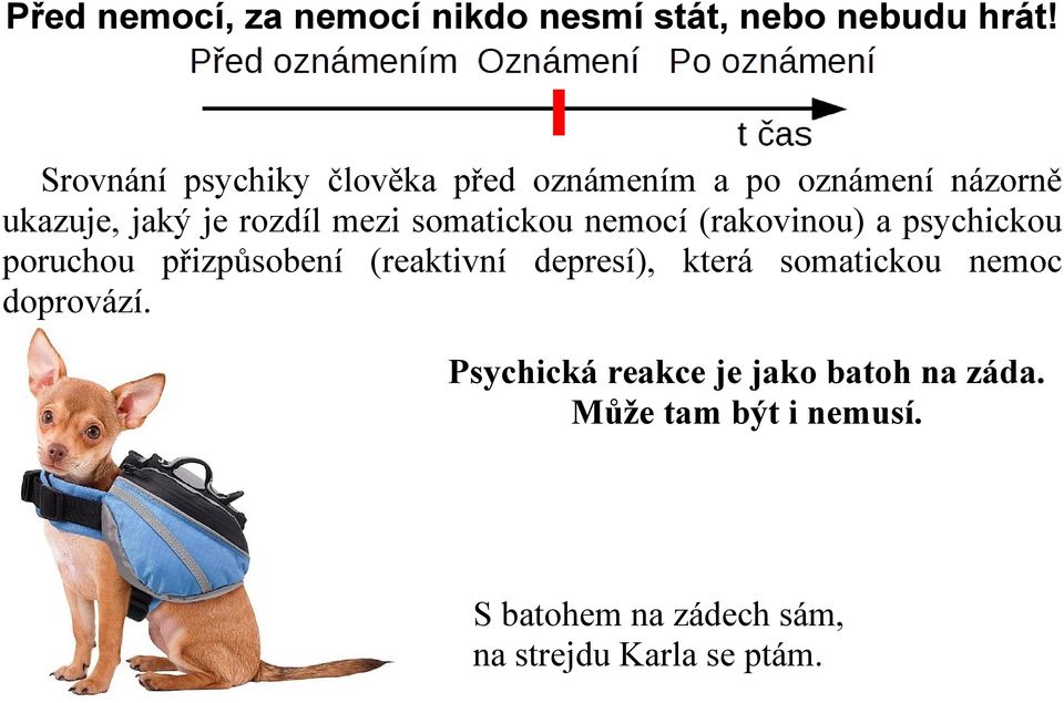 somatickou nemocí (rakovinou) a psychickou poruchou přizpůsobení (reaktivní depresí), která