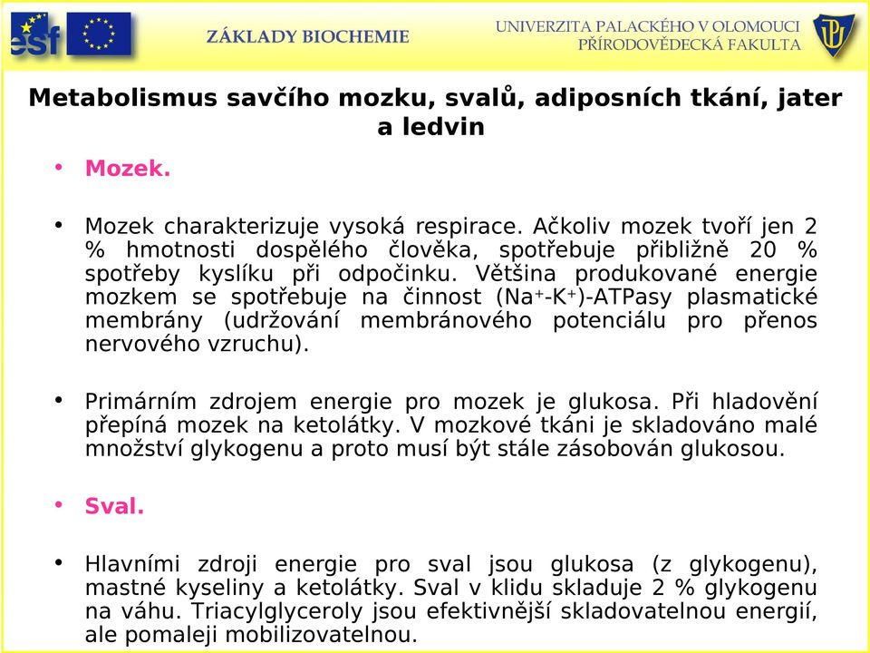 Většina produkované energie mozkem se spotřebuje na činnost (Na + -K + )-ATPasy plasmatické membrány (udržování membránového potenciálu pro přenos nervového vzruchu).