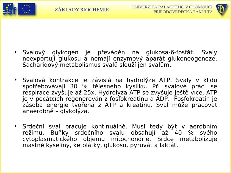 Hydrolýza ATP se zvyšuje ještě více. ATP je v počátcích regenerován z fosfokreatinu a ADP. Fosfokreatin je zásoba energie tvořená z ATP a kreatinu.