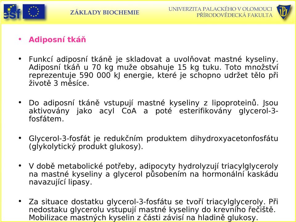 Toto množství reprezentuje 590 000 kj energie, které je schopno udržet tělo při životě 3 měsíce. Do adiposní tkáně vstupují mastné kyseliny z lipoproteinů.