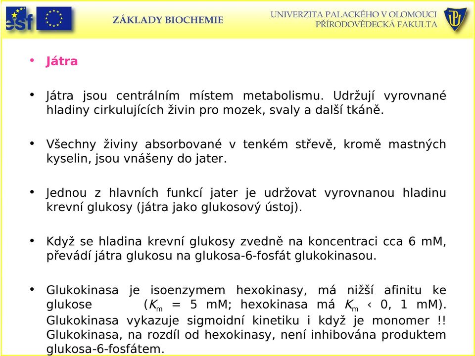 Jednou z hlavních funkcí jater je udržovat vyrovnanou hladinu krevní glukosy (játra jako glukosový ústoj).