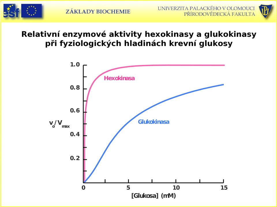 krevní glukosy 1.0 0.8 Hexokinasa 0.