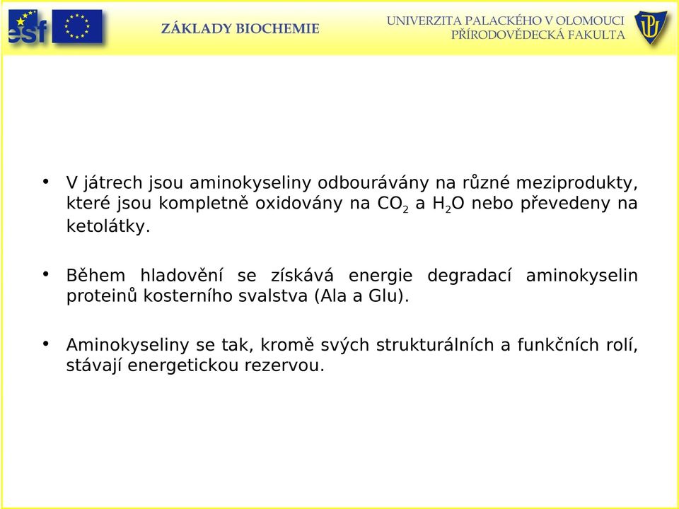 Během hladovění se získává energie degradací aminokyselin proteinů kosterního