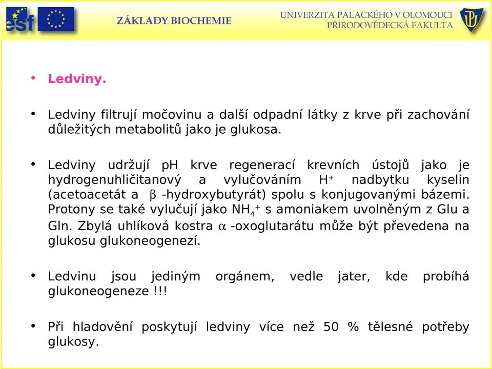 spolu s konjugovanými bázemi. Protony se také vylučují jako NH 4 + s amoniakem uvolněným z Glu a Gln.