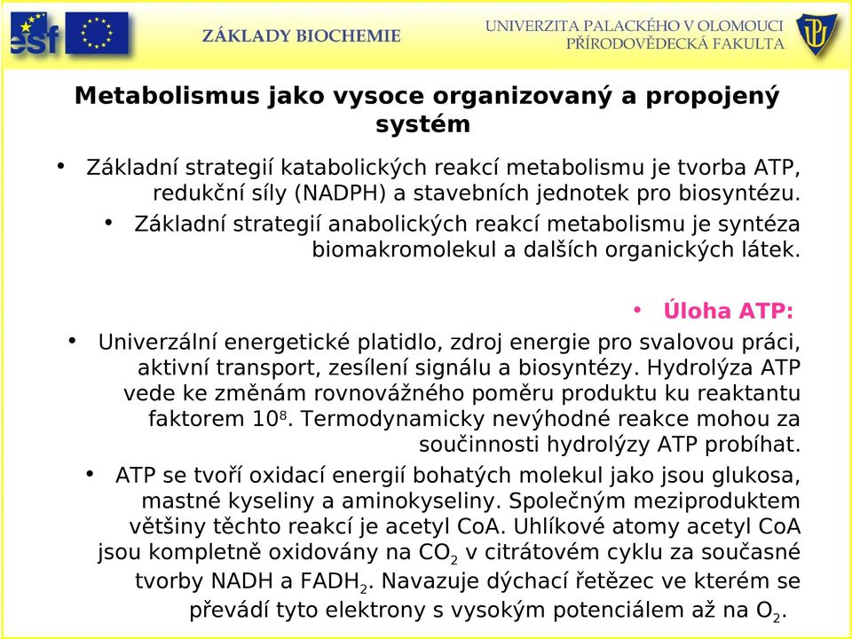 Úloha ATP: Univerzální energetické platidlo, zdroj energie pro svalovou práci, aktivní transport, zesílení signálu a biosyntézy.