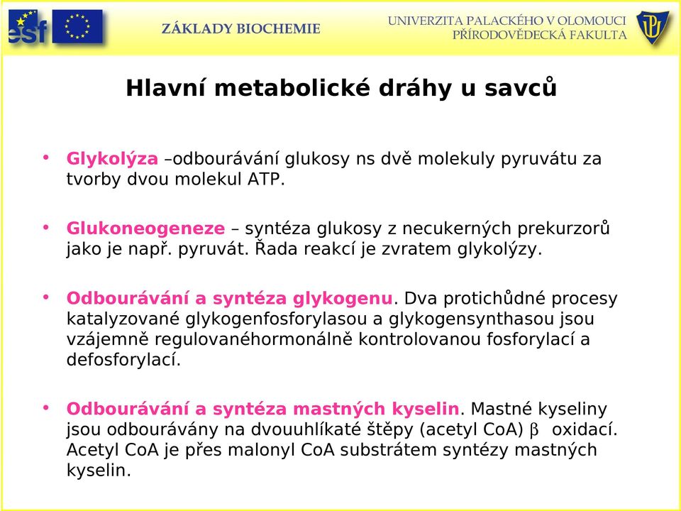 Dva protichůdné procesy katalyzované glykogenfosforylasou a glykogensynthasou jsou vzájemně regulovanéhormonálně kontrolovanou fosforylací a