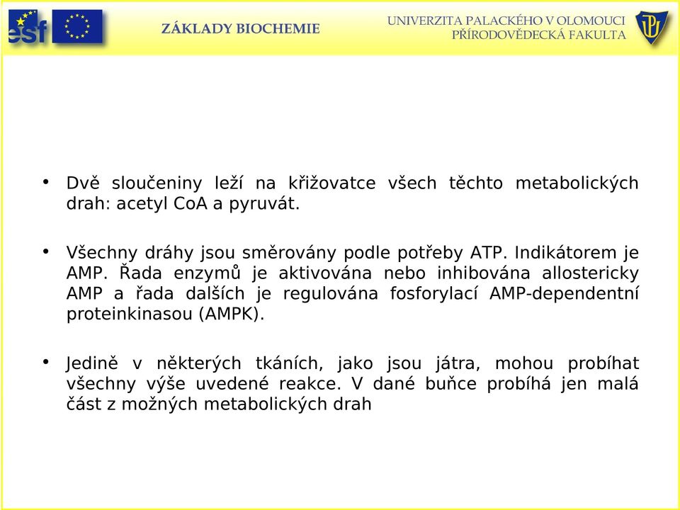 Řada enzymů je aktivována nebo inhibována allostericky AMP a řada dalších je regulována fosforylací