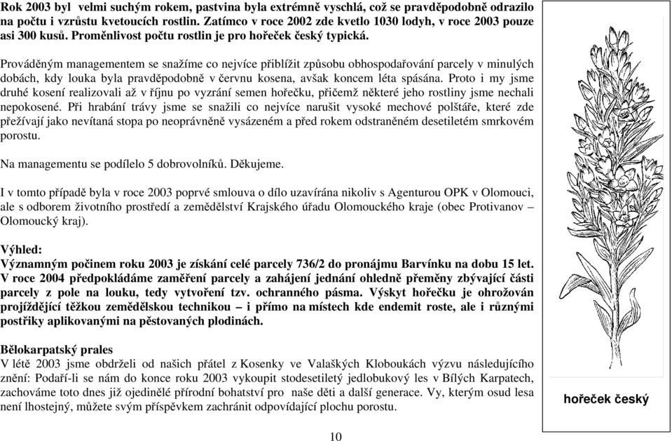 Prováděným managementem se snažíme co nejvíce přiblížit způsobu obhospodařování parcely v minulých dobách, kdy louka byla pravděpodobně v červnu kosena, avšak koncem léta spásána.