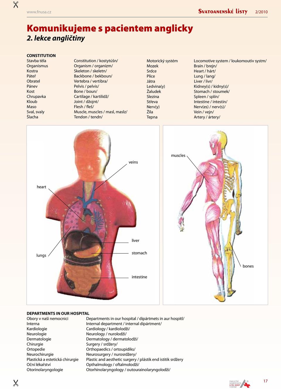 Backbone / bekboun/ Vertebra / vertibra/ Pelvis / pelvis/ Bone / boun/ Cartilage / kartilidž/ Joint / džojnt/ Flesh / fleš/ Muscle, muscles / masl, maslz/ Tendon / tendn/ Motorický systém Mozek Srdce
