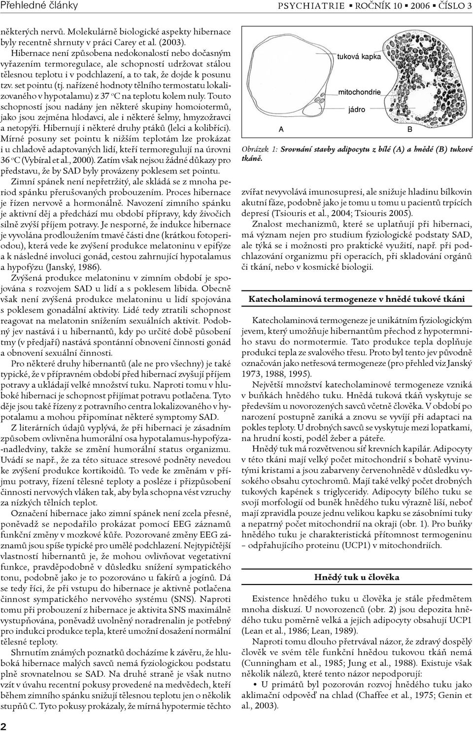 naøízené hodnoty tìlního termostatu lokalizovaného v hypotalamu) z 37 o C na teplotu kolem nuly.