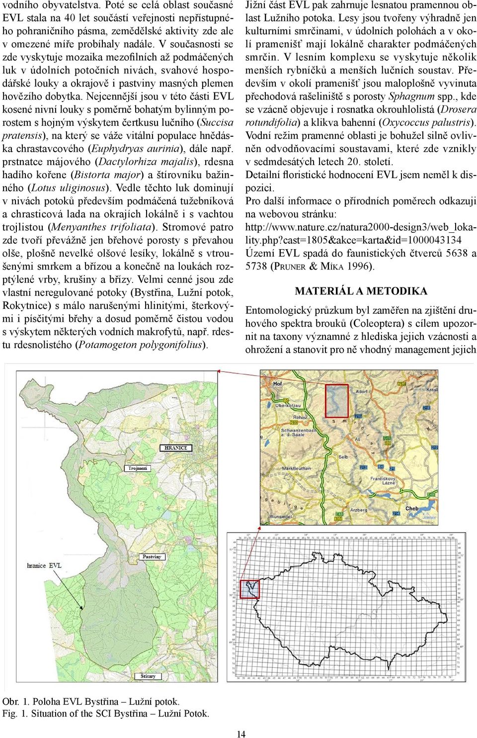 Nejcennější jsou v této části EVL kosené nivní louky s poměrně bohatým bylinným porostem s hojným výskytem čertkusu lučního (Succisa pratensis), na který se váže vitální populace hnědáska