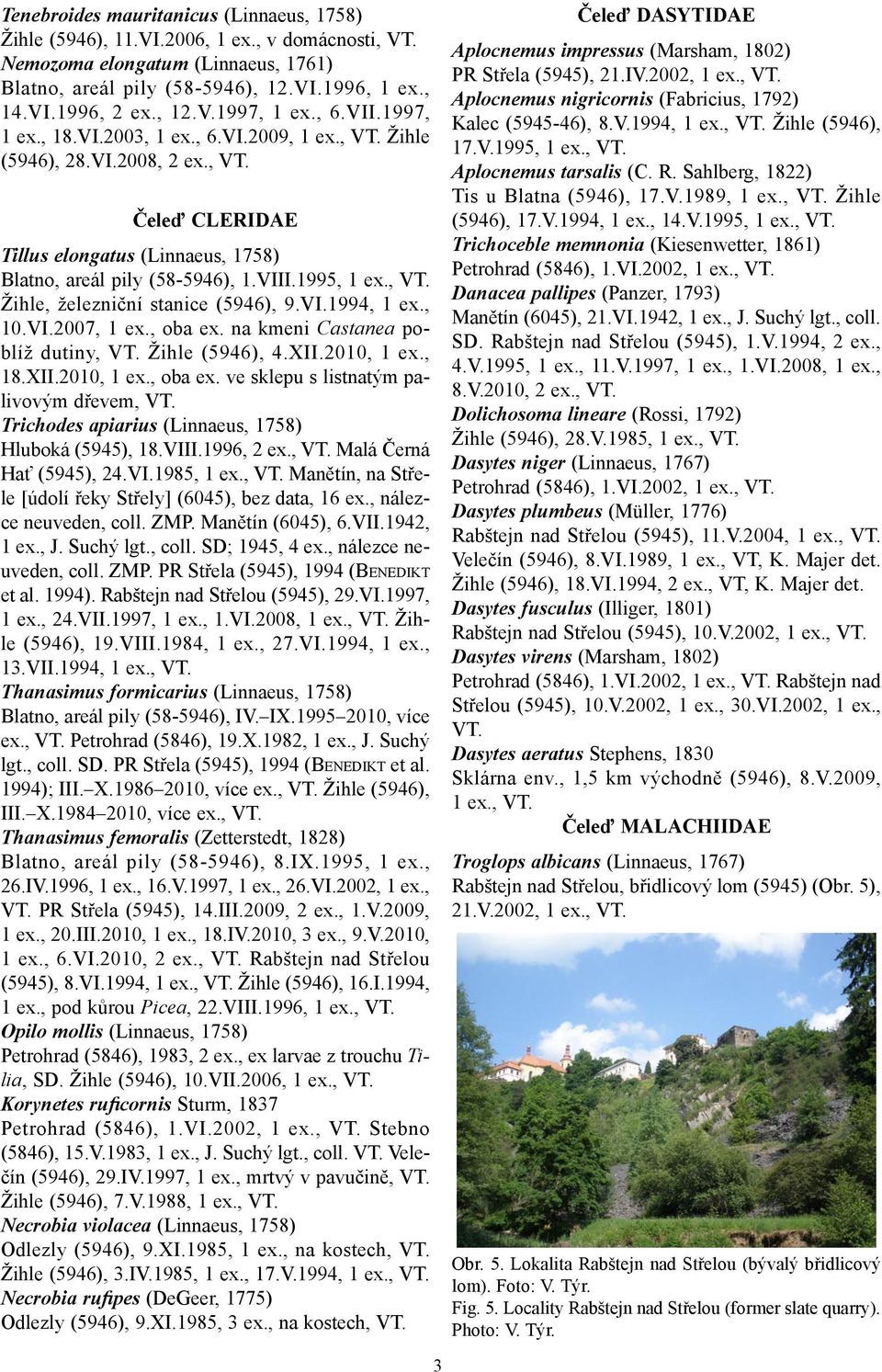 , VT. Žihle, železniční stanice (5946), 9.VI.1994, 1 ex., 10.VI.2007, 1 ex., oba ex. na kmeni Castanea poblíž dutiny, VT. Žihle (5946), 4.XII.2010, 1 ex., 18.XII.2010, 1 ex., oba ex. ve sklepu s listnatým palivovým dřevem, VT.