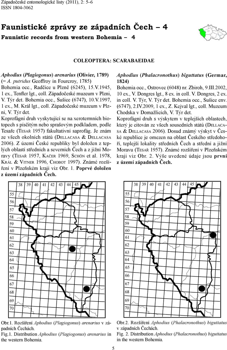 V.1997, 1 ex., M. Král lgt., coll. Západočeské muzeum v Plzni, V. Týr det.