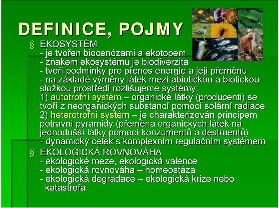 radiace 2) heterotrofní systém je charakterizován n principem potravní pyramidy (přem eměna organických látek l na jednodušší látky pomocí konzumentů a destruentů) - dynamický