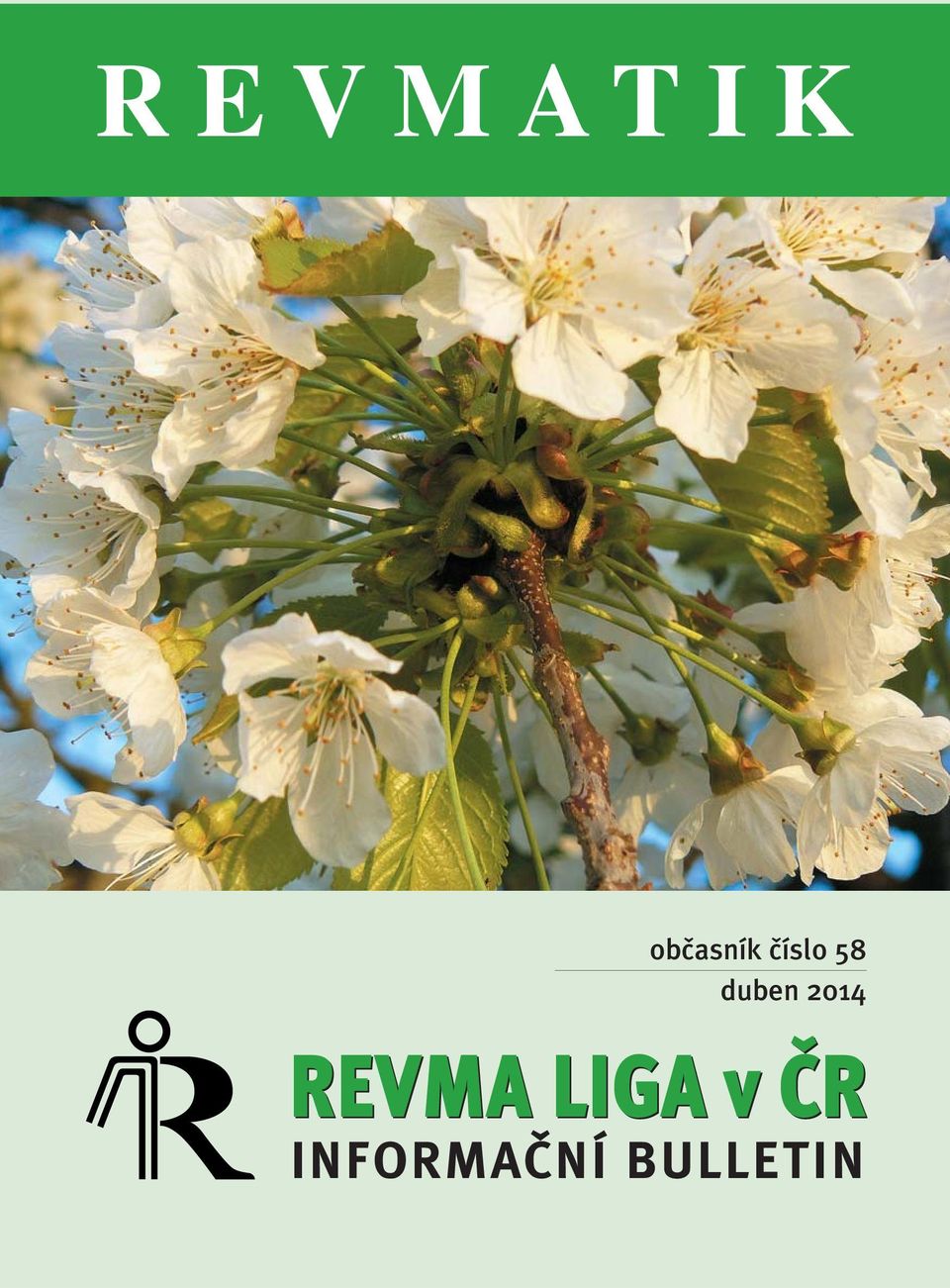 2014 REVMA LIGA v