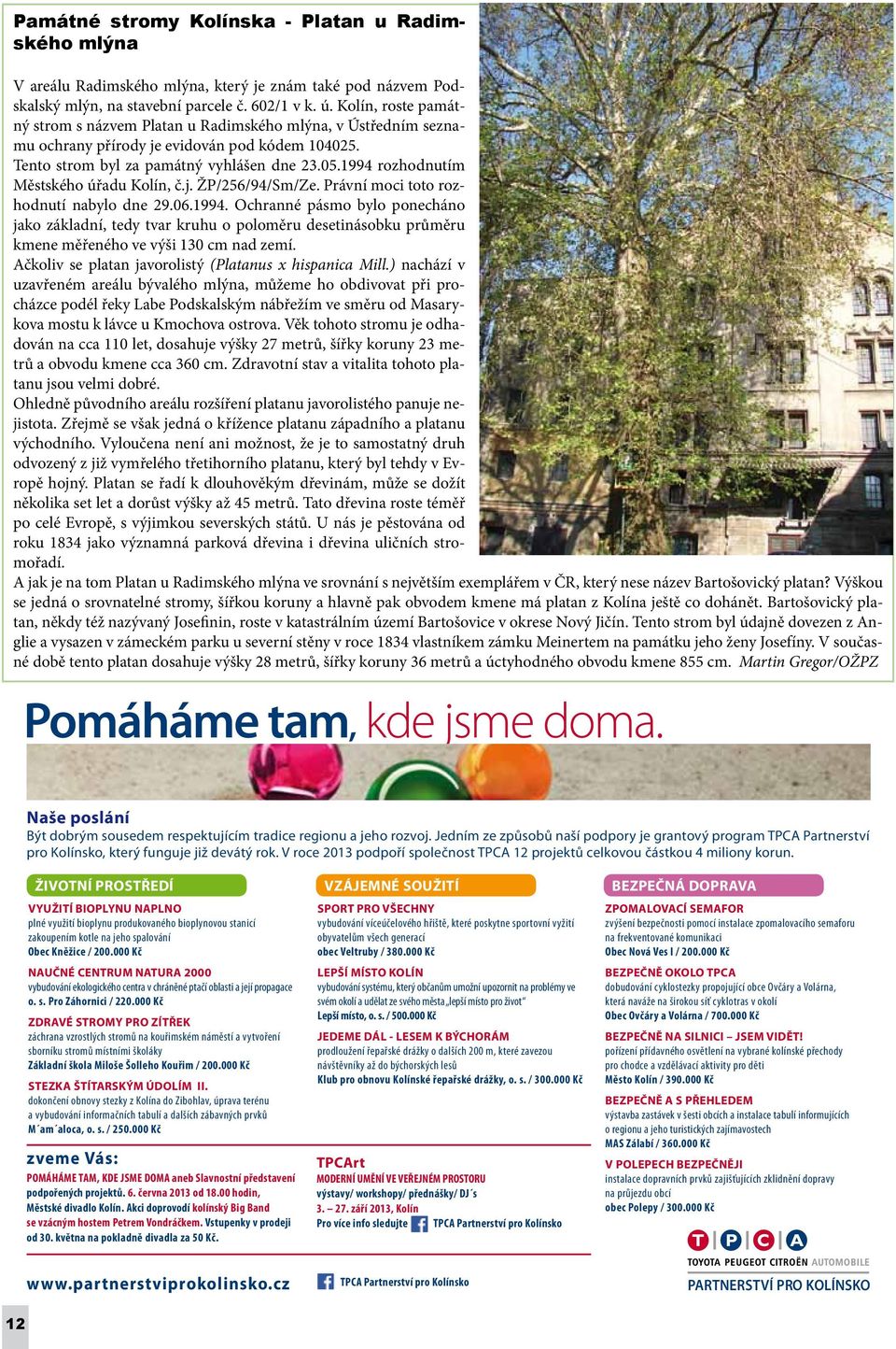 1994 rozhodnutím Městského úřadu Kolín, č.j. Ž/256/94/Sm/Ze. rávní moci toto rozhodnutí nabylo dne 29.06.1994. Ochranné pásmo bylo ponecháno jako základní, tedy tvar kruhu o poloměru desetinásobku průměru kmene měřeného ve výši 130 cm nad zemí.