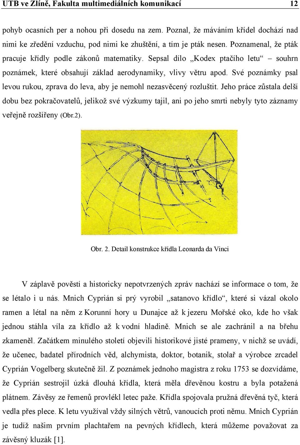 Sepsal dílo Kodex ptačího letu souhrn poznámek, které obsahují základ aerodynamiky, vlivy větru apod. Své poznámky psal levou rukou, zprava do leva, aby je nemohl nezasvěcený rozluštit.