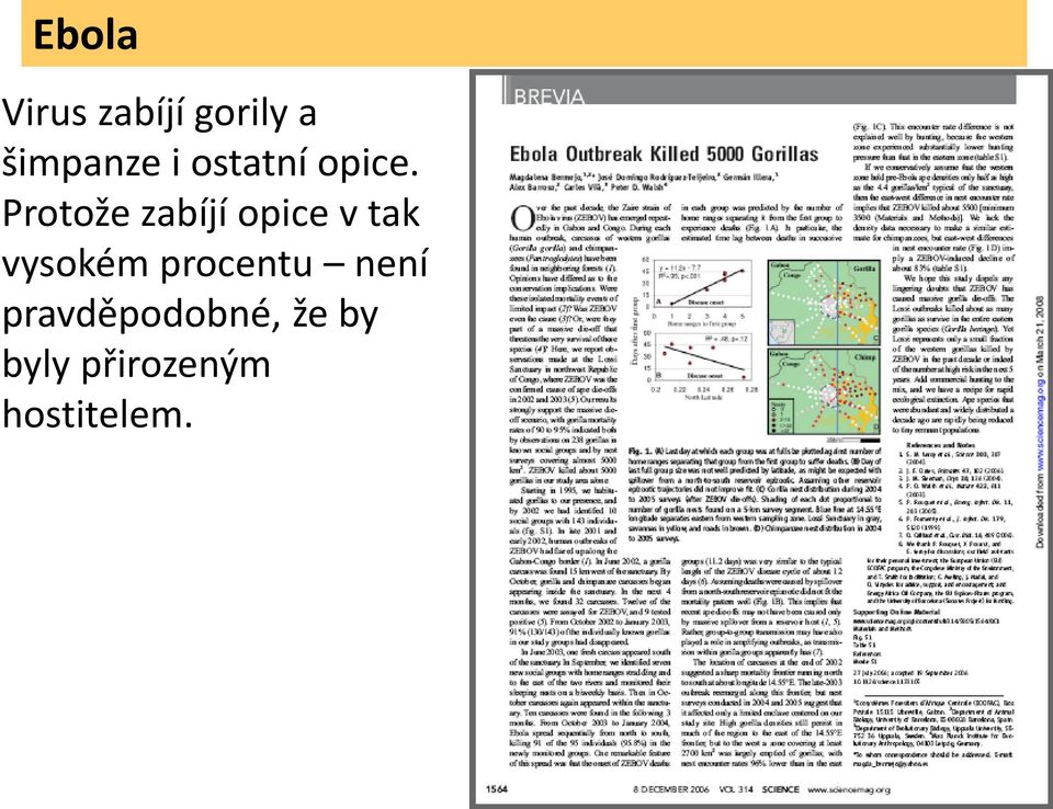 Protože zabíjí opice v tak vysokém