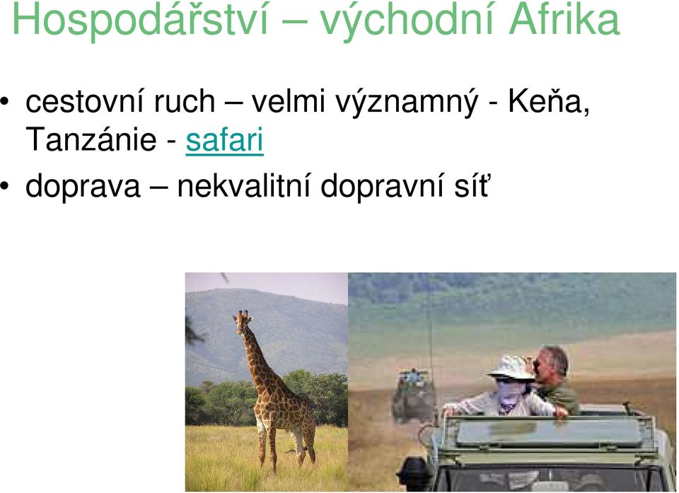 - Keňa, Tanzánie - safari